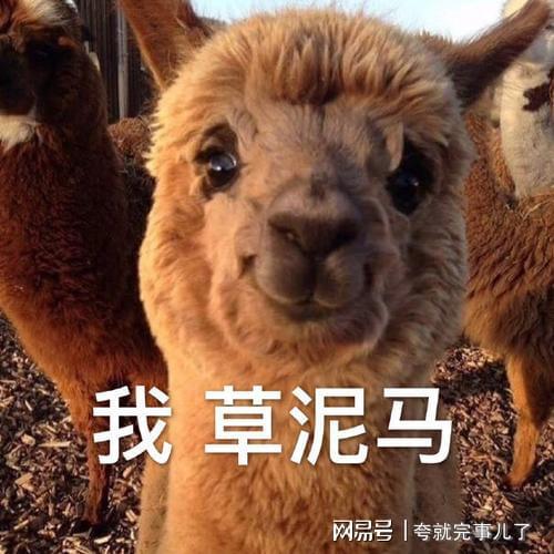 搞笑段子集锦一百一十八(图2)