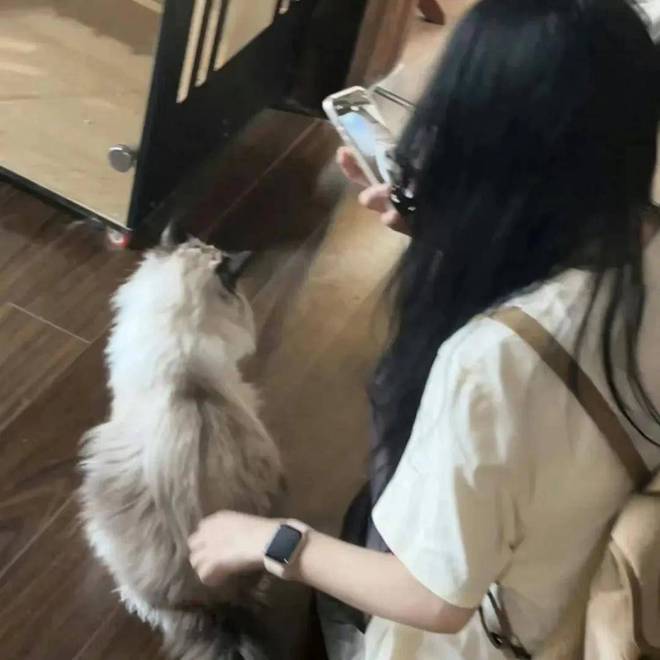 搞笑段子：极品笑话精选让人笑翻顶不住了开心最重要(图3)