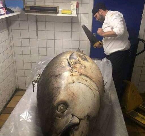 九游娱乐：搞笑图片幽默段子笑话：鱼真的大啊估计可以吃一个月了哈哈哈