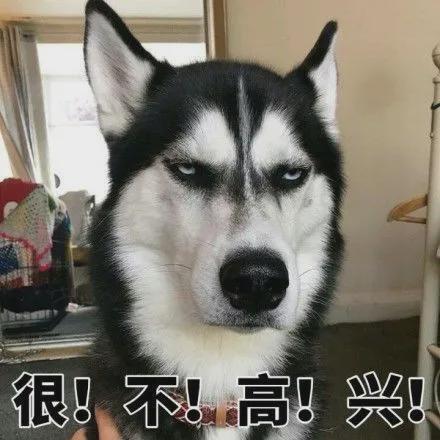 九游娱乐：【搞笑段子】人类学家发现如果踩一个人的脚他就会有可能张嘴