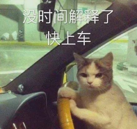 九游娱乐：让人笑到脸抽筋的幽默段子！搞笑又精辟看完没烦恼(图5)