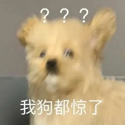 九游娱乐：让人笑到脸抽筋的幽默段子！搞笑又精辟看完没烦恼(图7)