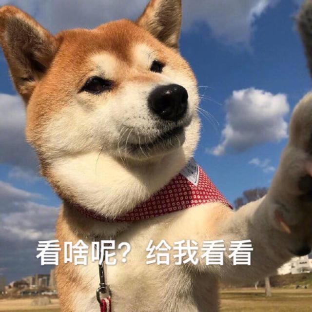 幽默笑话：主要是你来得太勤了狗都懒得理你了(图2)