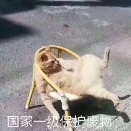 九游娱乐NineGame：学渣求生优雅三连：不算渣努力过学霸太多│春节“消尴除尬”全攻略(图4)