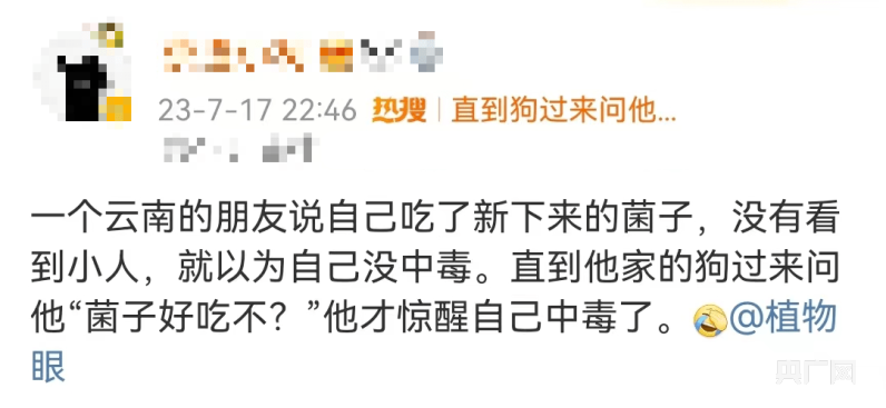 吃毒蘑菇成了搞笑段子、探险游戏？别拿中毒当儿戏！(图1)