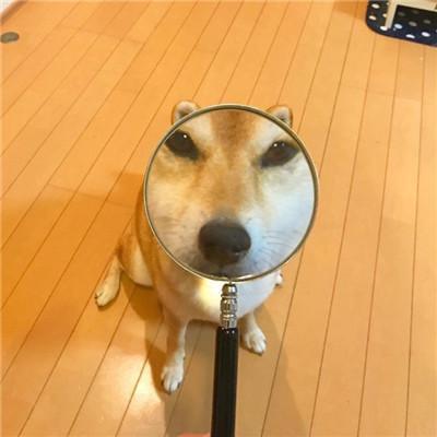 搞笑段子精选“何以解忧唯有暴富”(图2)