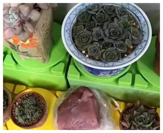 九游娱乐：搞笑图片幽默段子笑话：拿菜刀的妹子一点都不可爱(图3)