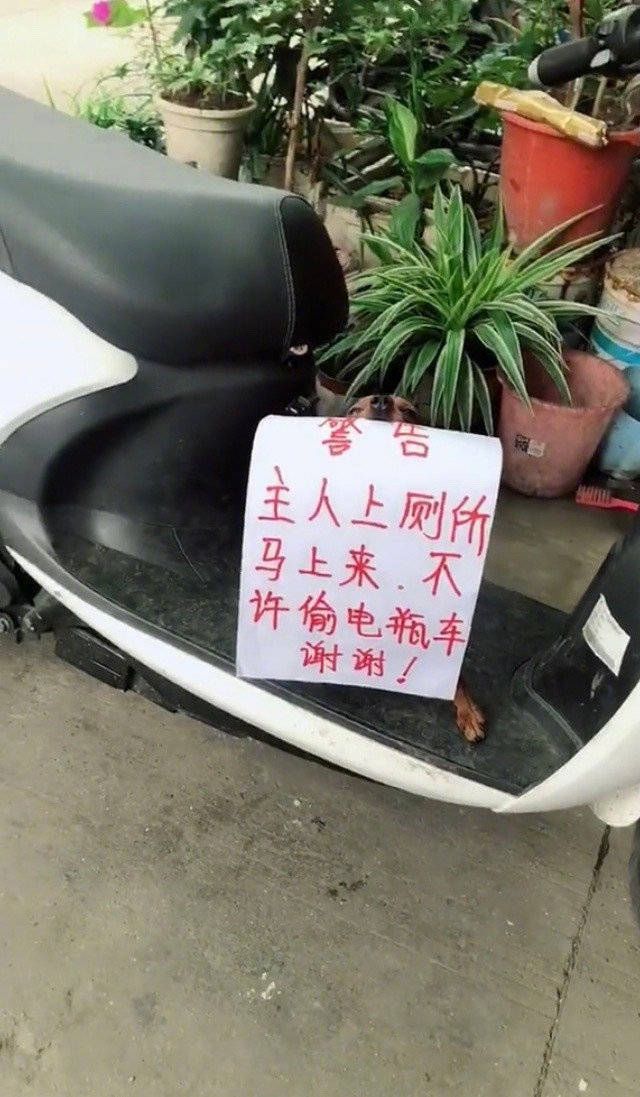 搞笑段子：难得老板组织聚餐兴奋的不得了老板说：馒头管饱
