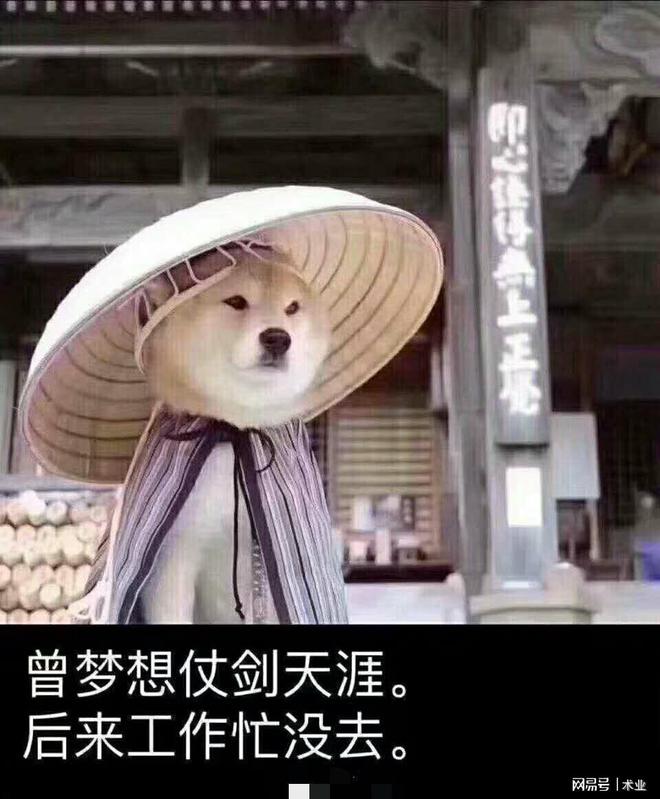 九游娱乐NineGame：第二期那些经典搞笑段子