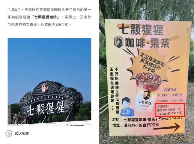 王妈演霸总剧塌房背后戳中了年轻人就业最痛的伤(图14)