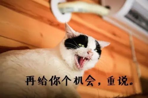 八大搞笑段子大全~精辟十足句句获赞专治不开心系列！(图4)