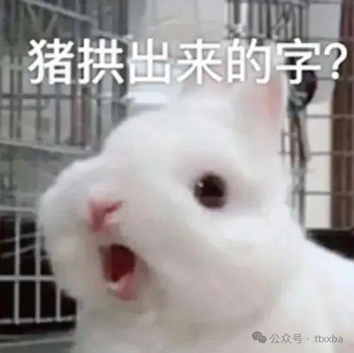 九游娱乐：笑话大全大放送笑到肚子疼超级爆笑来袭！