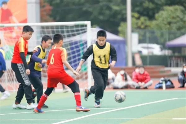 南湖小学(含北区)、广都小学联合招聘教师(图7)