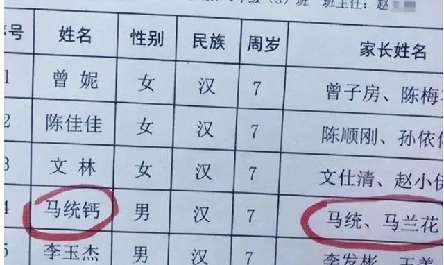 九游娱乐：“子涵轩”已过时新一批名字画风更奇葩老师表示：我想静静(图4)