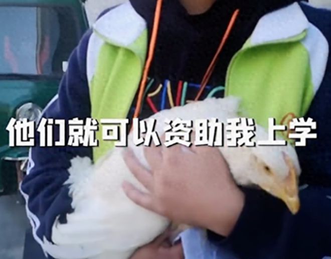 为了凑钱上学甘肃农村女孩给马云寄母鸡惨遭拒绝后竟一哭成名
