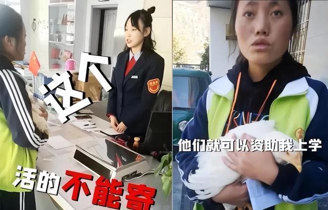 为了凑钱上学甘肃农村女孩给马云寄母鸡惨遭拒绝后竟一哭成名(图11)