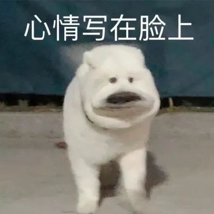 笑到泪崩的7条幽默段子诙谐又精辟看完直接笑哭(图2)