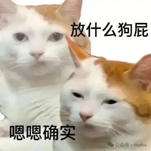 九游娱乐NineGame：糗事爆笑冷笑话老婆花巨资做了整容数天后变成美女回家进门时！