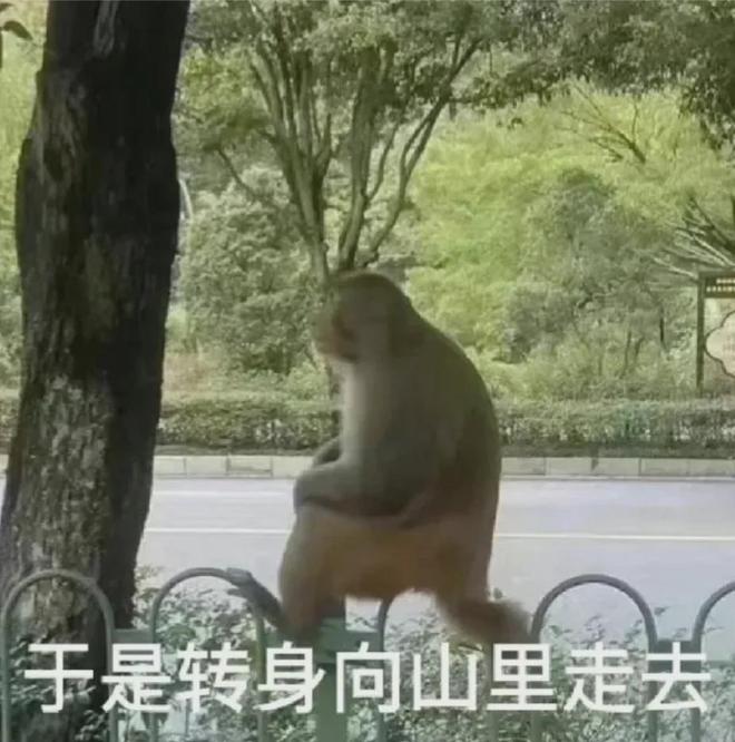 九游娱乐NineGame：来美国三年我还是说不好英语(图7)