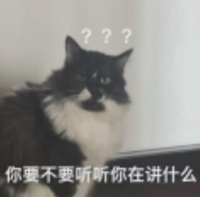 九游娱乐NineGame：来美国三年我还是说不好英语(图4)