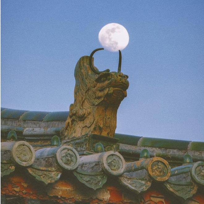 人生下半场脱口秀大爷“山山”而来(图6)