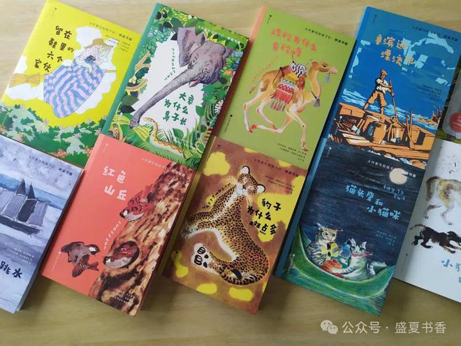 九游娱乐：精致小薄本文字和画风都很赞是标标准准的桥梁书