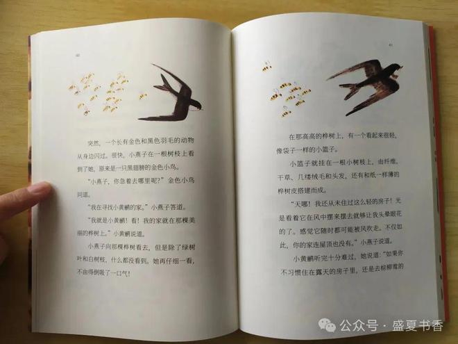九游娱乐：精致小薄本文字和画风都很赞是标标准准的桥梁书(图4)
