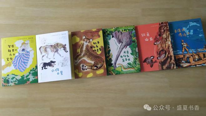 九游娱乐：精致小薄本文字和画风都很赞是标标准准的桥梁书(图3)