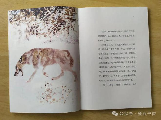 九游娱乐：精致小薄本文字和画风都很赞是标标准准的桥梁书(图8)
