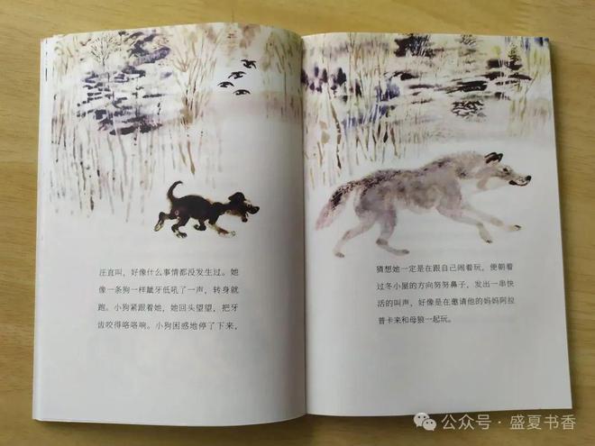 九游娱乐：精致小薄本文字和画风都很赞是标标准准的桥梁书(图9)