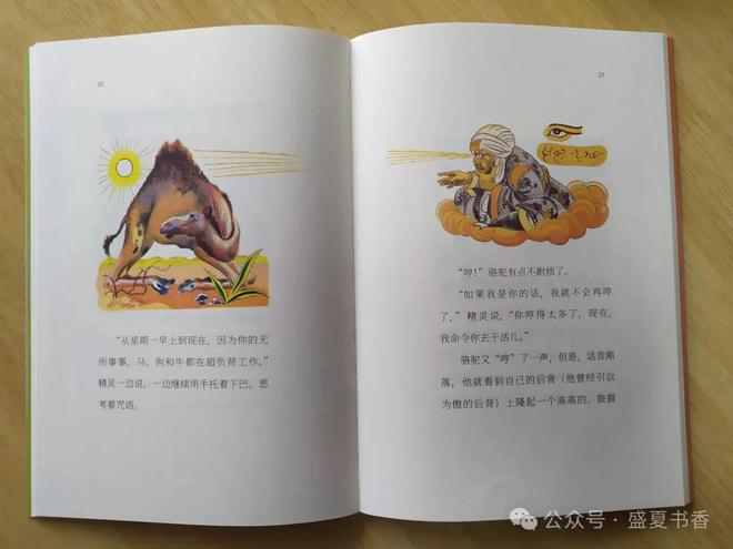 九游娱乐：精致小薄本文字和画风都很赞是标标准准的桥梁书(图11)