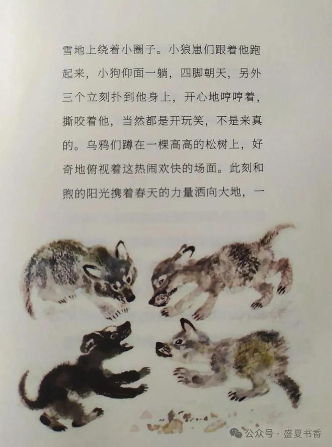 九游娱乐：精致小薄本文字和画风都很赞是标标准准的桥梁书(图10)