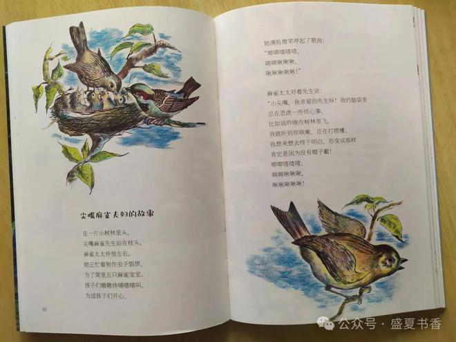 九游娱乐：精致小薄本文字和画风都很赞是标标准准的桥梁书(图12)