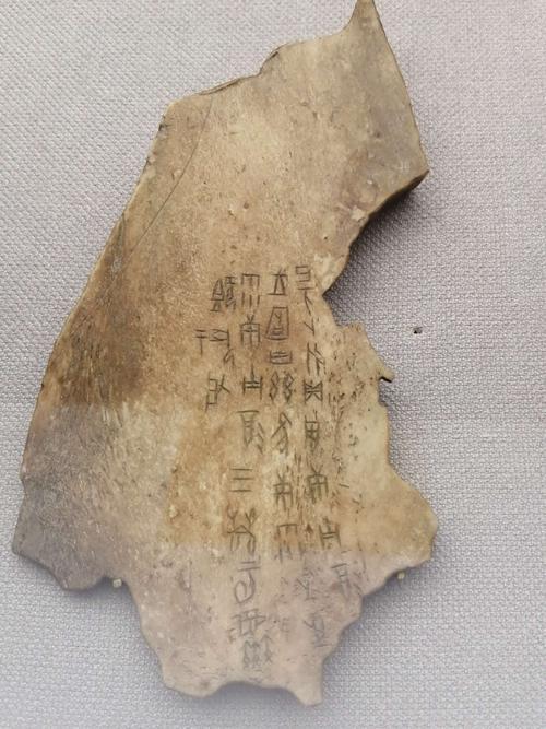 九游娱乐NineGame：“胄”和“冑”这两个字你能分清吗？用错了很容易惹出笑话的(图2)