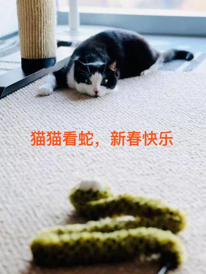 流逝的一切造就了我们(图6)