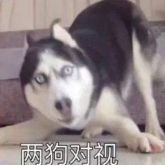 九游娱乐NineGame：【每日神回复】“和女友舌吻有什么好处？”沙雕网友神回复差点把我活活笑死！
