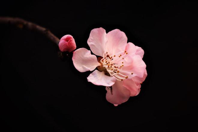 一个男人最大的愚蠢是把心机都用在了妻子身上(图3)
