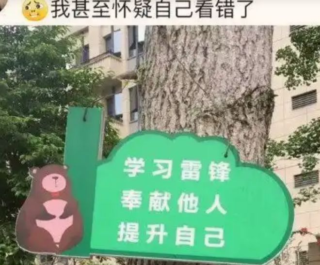 “遮挡后才是我们的心声”学生拍下校园内标语堪称断章取义(图6)