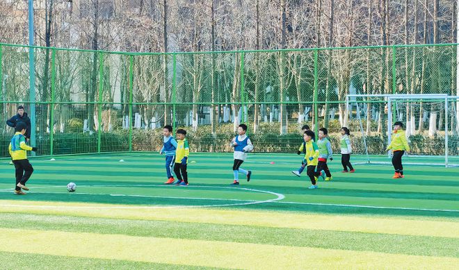 九游娱乐：发力青少年体育青岛这样做