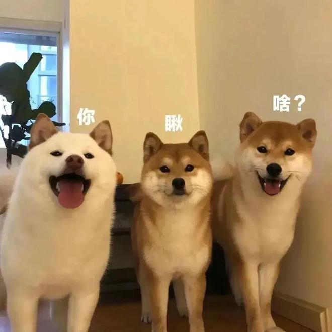 笑话段子：最新幽默段子精选一秒笑喷
