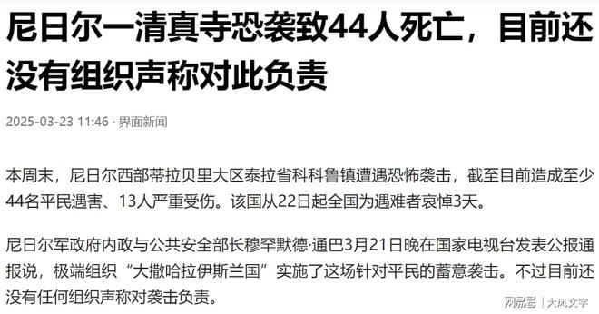 尼日尔：我不制你天也要裁你！清线人死社会秩序崩溃(图2)