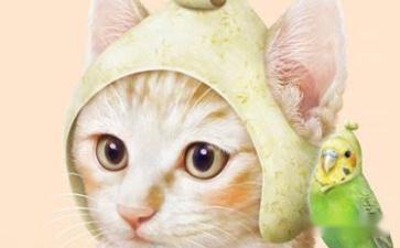 让人秒笑的笑话简短(图5)