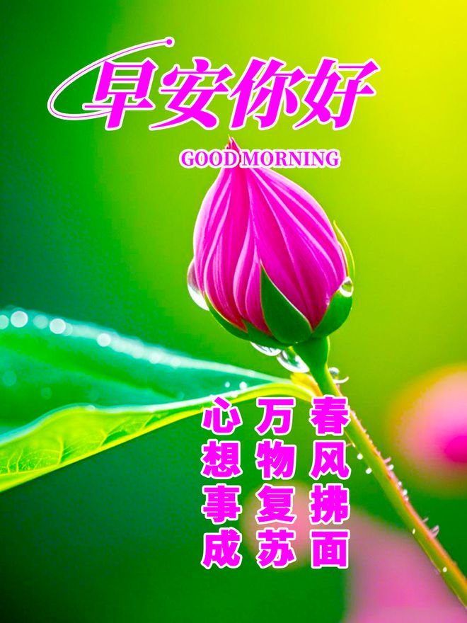 九游娱乐NineGame：让自己内心变强大的正能量语录哪一句触动了你的心