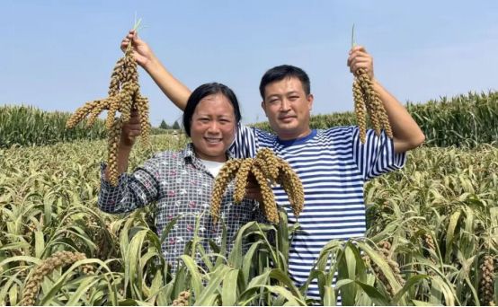 九游娱乐：连快手都在给她颁奖！这个菏泽妮儿用镜头为200万粉丝造了一座“时光机”(图3)