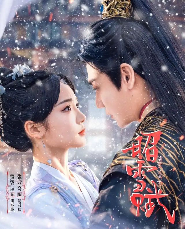 精彩后续《昭雪赋》61集完整版