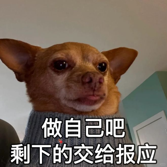 轻松一刻：据说这是学生们回学校的全程表情(图4)