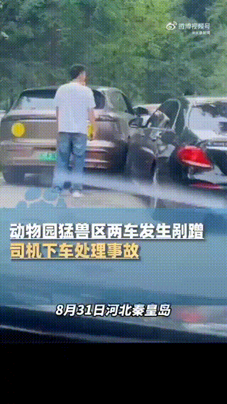 轻松一刻：据说这是学生们回学校的全程表情(图6)