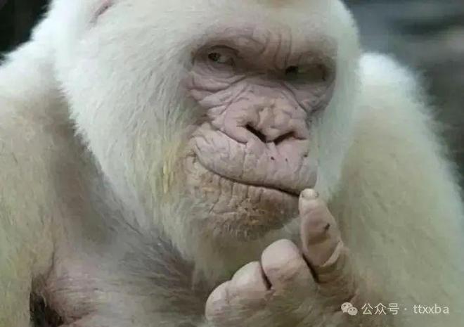 搞笑糗事经典爆笑冷笑话经典爆笑笑话集锦