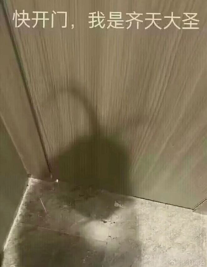 轻松一刻：快开门我是齐天大圣！(图5)