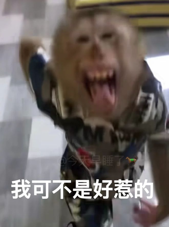 轻松一刻：快开门我是齐天大圣！(图6)